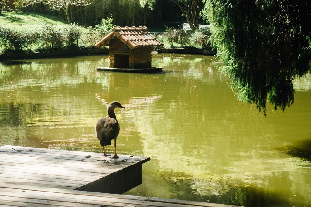 Pousada Tucano Do Cuiaba Itaipava Zewnętrze zdjęcie